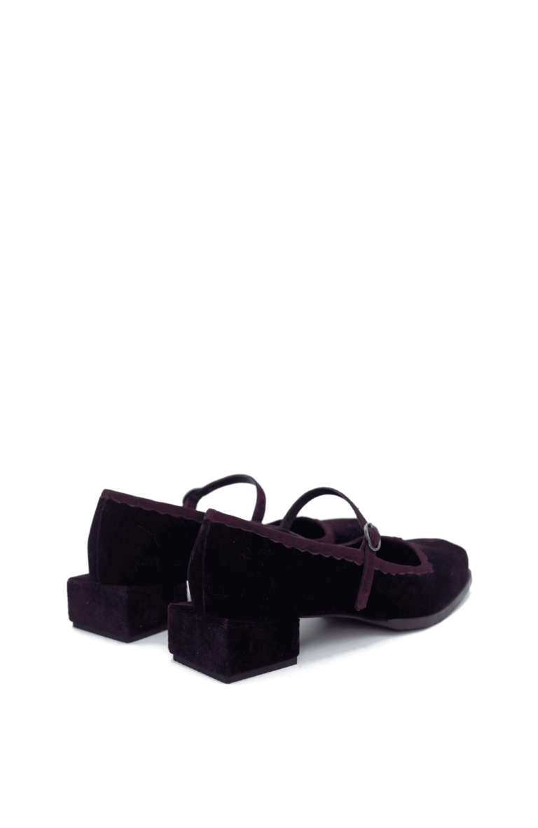 CANELLA BALLERINA LUNA