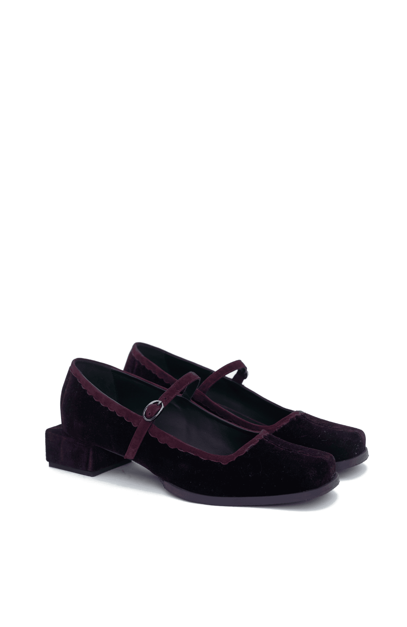 CANELLA BALLERINA LUNA