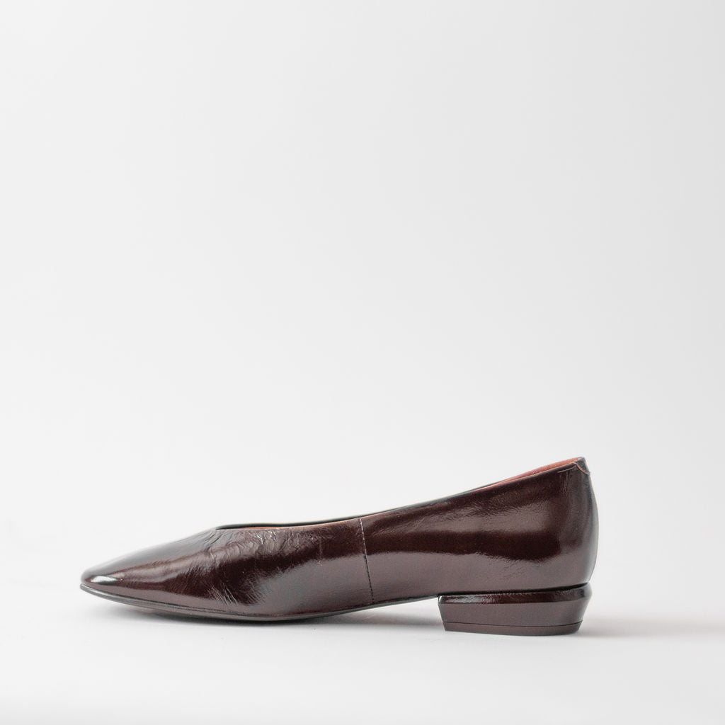 ANGEL ALACRON KATYA FLAT PATENT BROWN