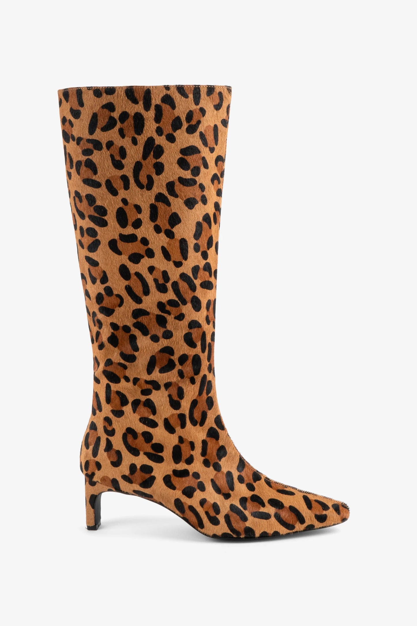 INTENTIONALLY BLANK SEVILLE LEOPARD
