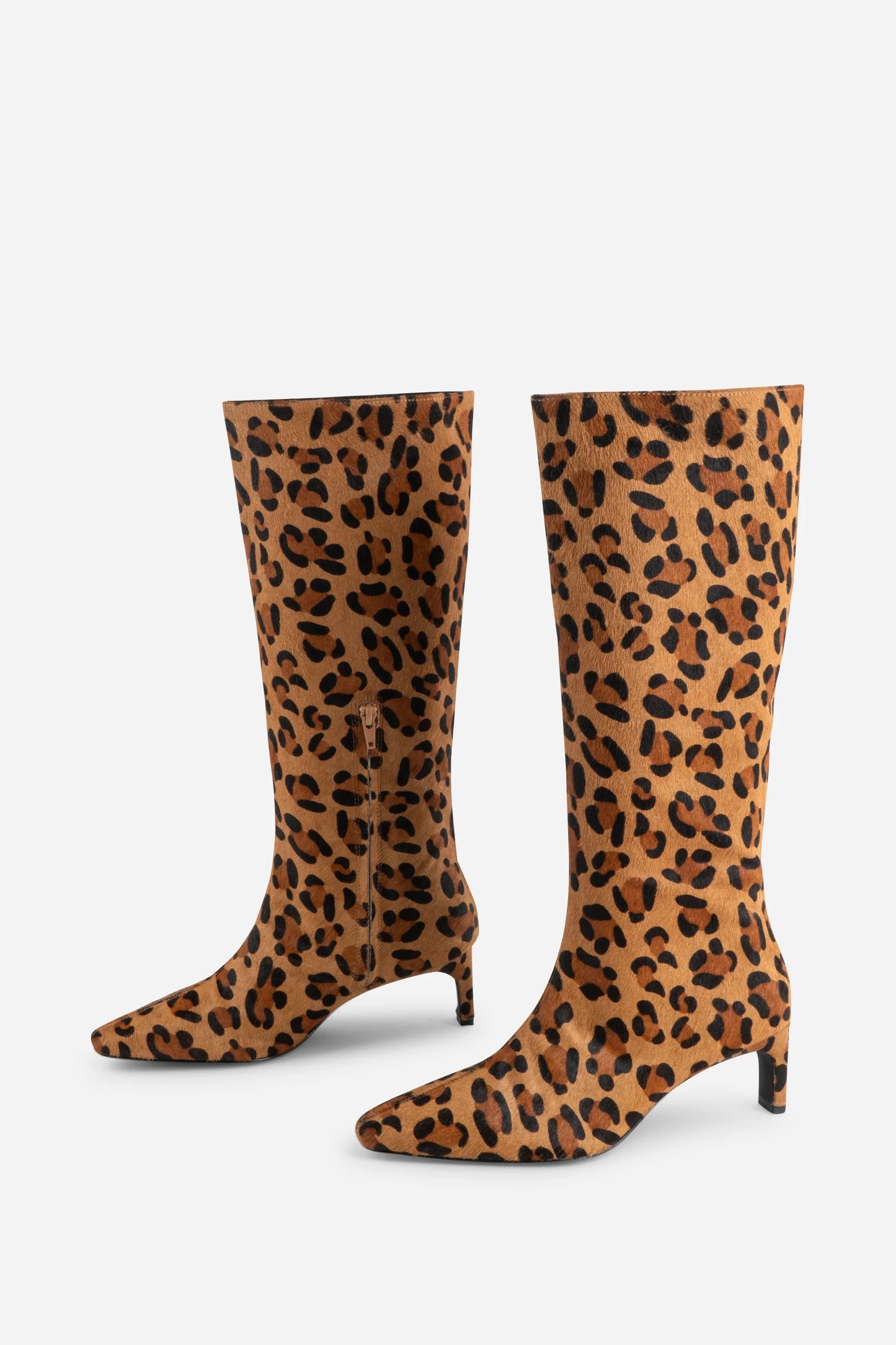 INTENTIONALLY BLANK SEVILLE LEOPARD